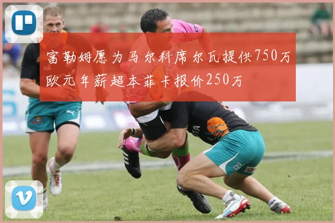 富勒姆愿为马尔科席尔瓦提供750万欧元年薪超本菲卡报价250万